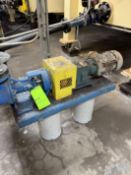 VIKING POSITIVE DISPLACMENT PUMP