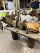 S/S AMPCO POSITIVE DISPLACEMENT PUMP