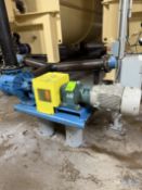 VIKING POSITIVE DISPLACEMENT PUMP