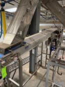 SECTION OF S/S BELT CONVEYOR