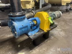 VIKING 7.5 HP ROTARY POSITIVE DISPLACEMENT PUMP