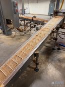 SECTION OF INCLINE BELT CONVEYOR