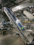 CLEATED INCLINE CONVEYOR
