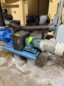 VIKING POSITIVE DISPLACEMENT PUMP