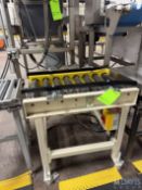 SECTION OF ROLLER CONVEYOR