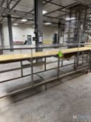 STRAIGHT SECTION BELT CONVEYOR