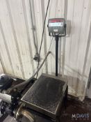 OHAUS S/S PLATFORM SCALE