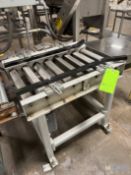 SECTION OF ROLLER CONVEYOR