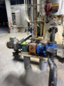 VIKING POSITIVE DISPLACEMENT PUMP