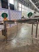 SECTION OF S/S CONVEYOR