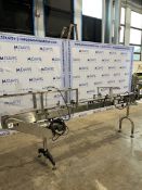 SECTION OF S/S NEDCO CONVEYOR