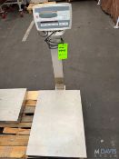 (2) S/S TABLETOP SCALES