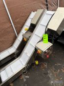 (1) INCLINE TAKE AWAY CONVEYOR