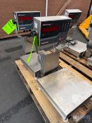 (2) RICE LAKE TABLETOP SCALES