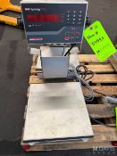 (2) RICE LAKE TABLETOP SCALES