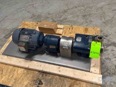 TRI CLOVER POSITIVE DISPLACEMENT PUMP, MODEL TCIP2NLD-15MFY410H-A0-DM1A, S/N 541521-01, WITH ROTORS,