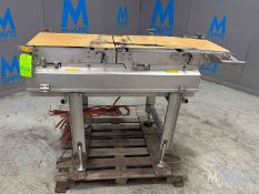S/S BELT CONVEYOR, 65 L X 43 H WITH 19 W BELT, (2) BELT SYSTEM WITH (2) DRIVES, (POSSIBLY CHECK