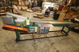 ACSI 10 ft L x 32 H Belt Belt Conveyor with 12 Belt, Reliance 1/3 hp Drive Motor, 1725 rpm, 208-