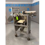 GMC S/S Cheese Block Cutter, Type TU Way, Pneumatic, on Wheels, with Spare Blade,(EE #19276) (