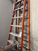 12 Foot Ladder