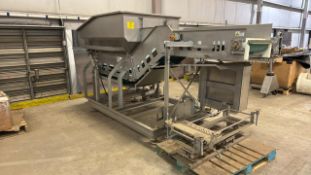 Injector In-feed Belt