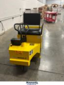 Columbia Parcar Corp. EX21-T-24 Electric Utility Vehicle