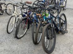 (7) Bicycles