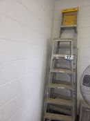 (2) Werner Ladder, Stepladders, Heavy Duty, 6' and 8'