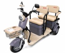 2026 Unused Purple SDLANCH IRGC40 Electric Tricycle