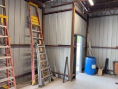 Werner Professional Performance Ladders