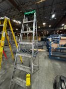 Louisville 8' Ladder 225 Lb. Capacity