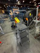 Costco Step Ladder Model Number 11839GG0