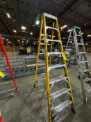 Werner 8' Ladder 375 Lb. Capacity