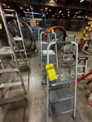 (3x) 3' Ladder