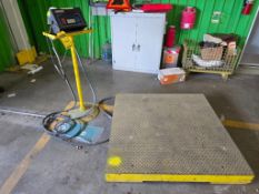 Detecto 5,000 Lb. Digital Platform Scale, 48" x 48" Platform