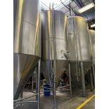 Silver State Stainless 100 BBL (Approx 3,900 Gal Max Capacity) Stainless Steel Ferm | Rig Fee $2500