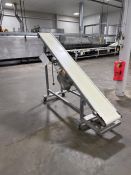 Stainless Steel Conveyor Incline mounted on Casters- Approx 9'6" L X 13 3/4" Wide Belt, Drive-1/2
