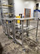 Stainless Steel Cart- QTY (4) Approx 4'8" L X 2'7" W X 5'3" Tall