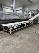 American Baking Systems Mild Steel Conveyor- Belt Approx 42" Wide, Overall Length Approx 21',