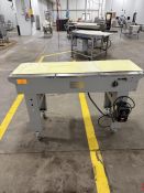 Texwrap Packaging Systems Model STB-BC5-SM-MTX52435 Mild Steel Conveyor, Approx 5' L X 17" Wide