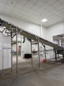 Stainless Steel Decline Conveyor-Belt 42" Wide, Overall Length Approx 35'2", Infeed Height Approx