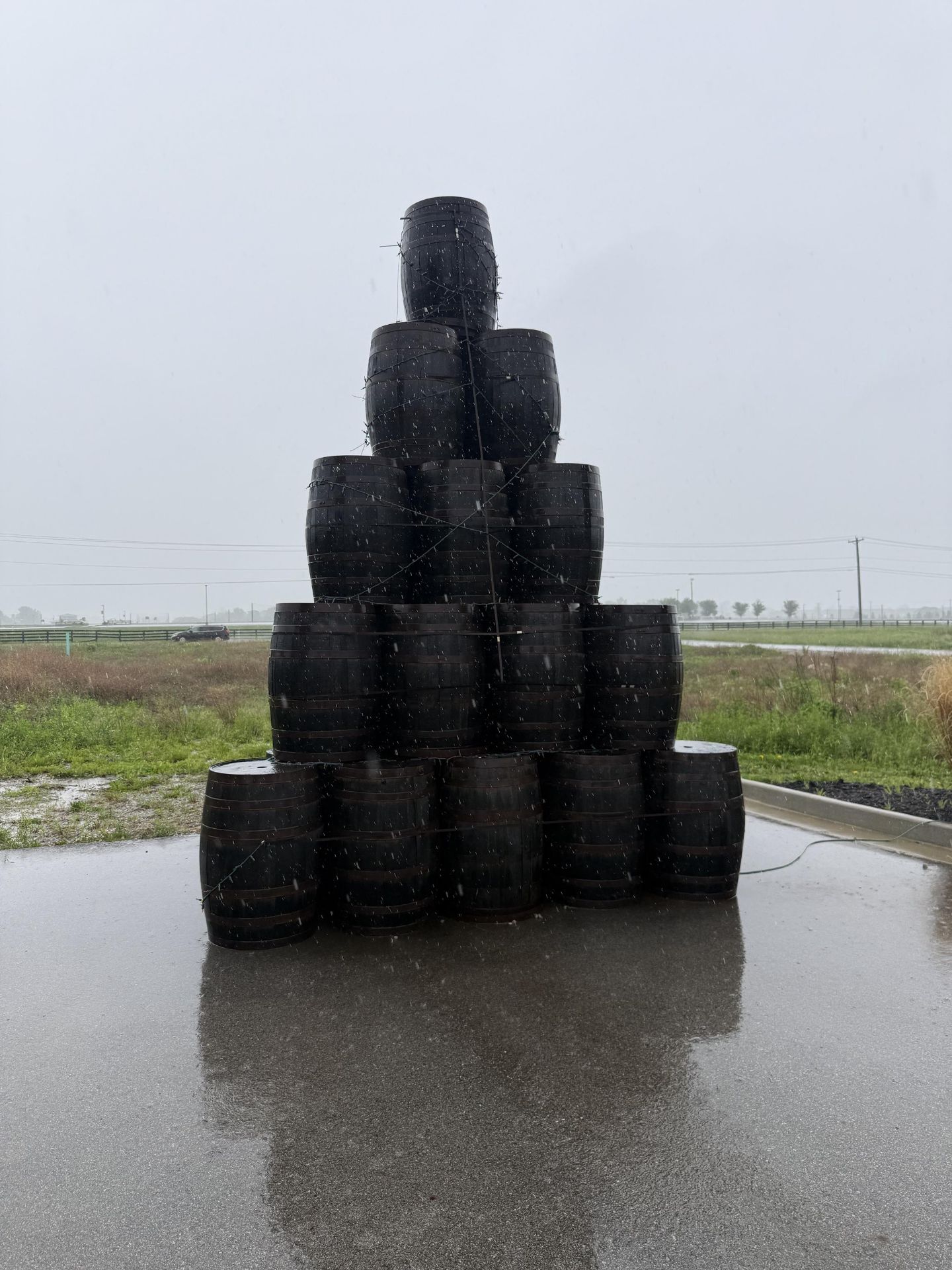 Whiskey Barrel Display- QTY Approx (33) 53 gallon