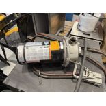 Berkeley Model B78644 Stainless Steel Centrifugal Pump, 2 HP, 3450 RPM, 208-230/460 V, S#7194105