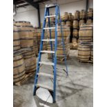 Werner Model FS108 8' Ladder- 250 LBS Capacity