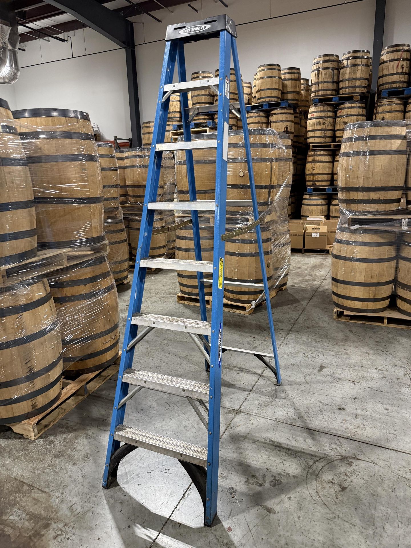 Werner Model FS108 8' Ladder- 250 LBS Capacity