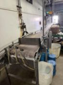 Jet Stream Stainless Steel conveyor From Filler Discharge to Labeler- Combiner Approx 27' L,