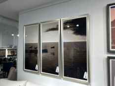 {LOT} (3) Framed Photos Of Dogs Jumping Off Dock, Geronimo Tryptich By Trowbridge (RETAIL PRICE $3,