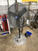 (2) Pedestal Fans