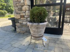 {LOT} (2) Matching 20"Diameter Clay Planters w/ Metal Stands and Shrubs