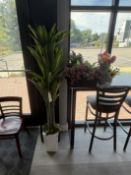 {LOT} Faux Plants